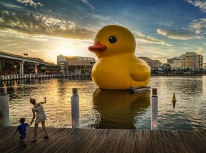Pictures by Florentijn Hofman Artist Project Rubber Duck