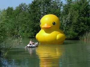 Pictures by Florentijn Hofman Artist Project Rubber Duck